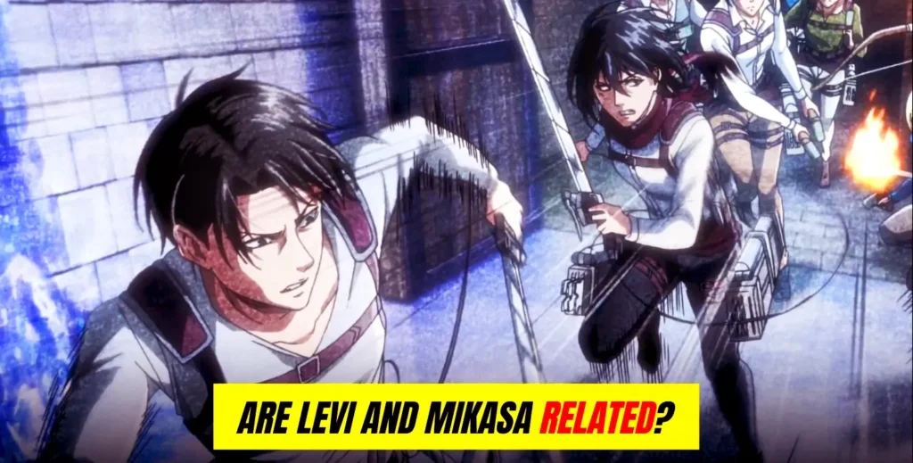 Are Levi and Mikasa Related