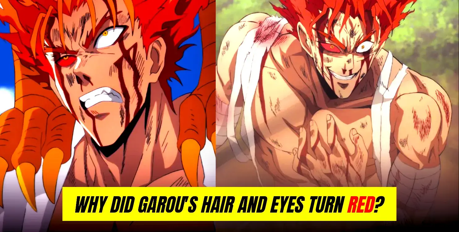 Why Did Garou's Hair and Eyes Turn Red